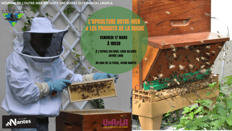 L’apiculture Outre-Mer & les produits de la ruche